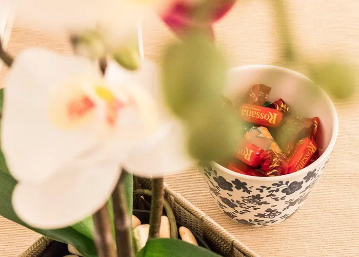 Due Giardini 3* Padova