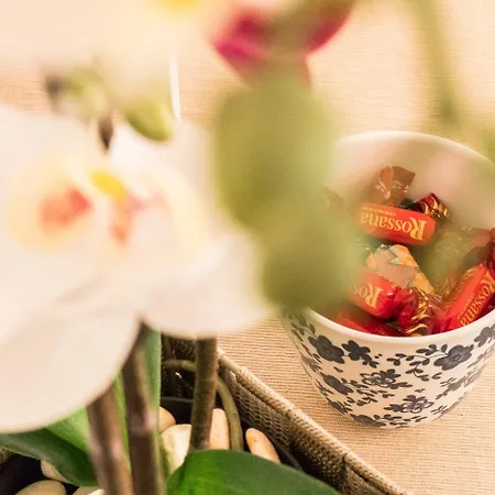 Due Giardini 3* Πάδοβα