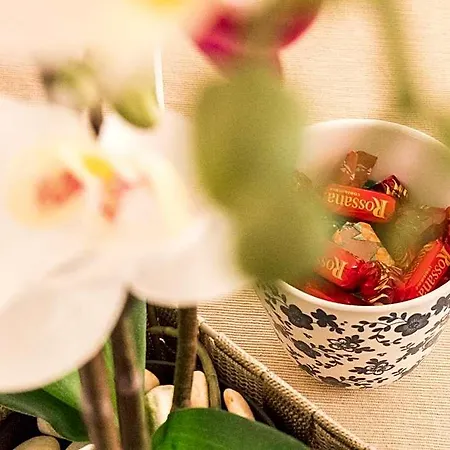Due Giardini Bed & Breakfast Padua